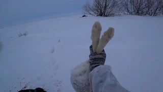 Лучшие выстрелы с охоты на зайца. Супер моменты! Трофейные КАДРЫ. Сезон 2019-2020!