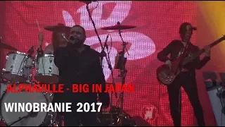 ALPHAVILLE-Big In Japan-LIVE IN POLAND,Zielona Góra 2017(WINOBRANIE)