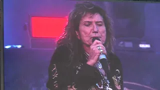 Whitesnake - Fool For You Loving (live @ Graspop '22)