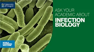 Ask Your Academic about MSc Infection Biology at UofG 2024