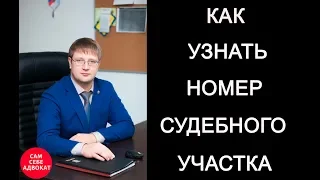 Как самому узнать номер судебного участка через интернет. Мировой суд.