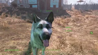 Fallout 4 Creation Club Showcase: TransDogrifier (Read Description)