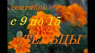 ТЕЛЬЦЫ. С 9 по 15 СЕНТЯБРЯ 2019 г. ПРОГНОЗ на НЕДЕЛЮ.