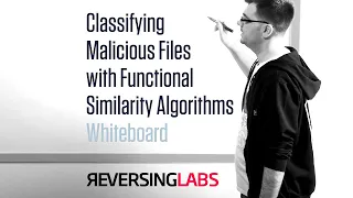 Learning with ReversingLabs: Classifying Malicious Files with Functional Similarity Algorithms