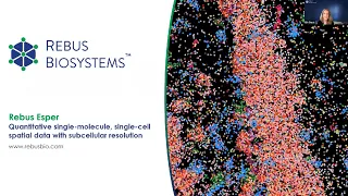 Quantitative single-molecule, single-cell spatial data with subcellular resolution