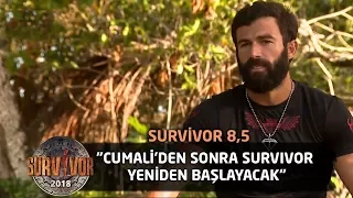 "Cumali'den sonra Survivor yeniden başlayacak" | Survivor 8,5