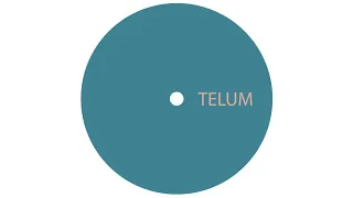 Unknown Artist - Untitled A1 [TELUM012]