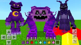 Every POPPY PLAYTIME Chapter 3 ADDON UPDATE in MINECRAFT PE