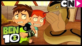 Ben 10 | Snake Song | King Koil | Cartoon Network