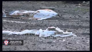 Бой в районе деревни Пески  Батальон Восток.  22.06.2015 г.