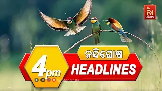 Headlines@4pm | 21st May 2024 | NandighoshaTV