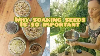 Transform Seeds into Nutritious Ingredients ~ How & Why You Should Always Soak Seeds and Nuts