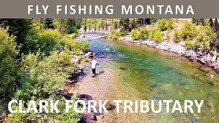 Fly Fishing Montana's Clark Fork River Tributary in July [Series Episode #18]