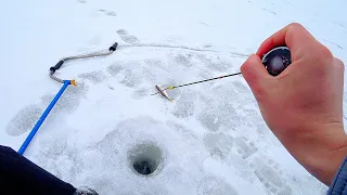 ПЛОТВА БЕЗ НАСАДКИ! Ловля на безмотылку со сменой проводок. Рыбалка со льда 2021! Зимняя рыбалка