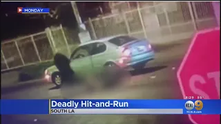 LAPD Seeking 2 Drivers, 3 Witnesses In Fatal Hit-And-Run
