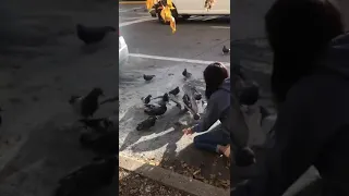 Feeding pigeons in St. Louis