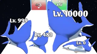 Shark Evolution! 3D - Level Up Biggest Grow Shark Fish! (Max Level) New Android Game