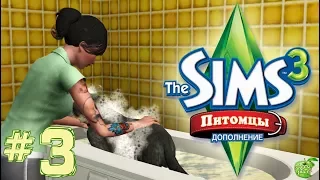 The Sims 3 Питомцы #3 Блохи!