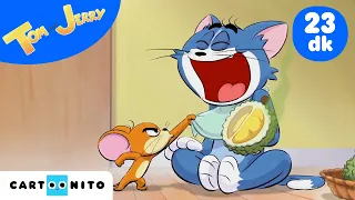 TOM VE JERRY | Kokulu Maceralar | @CartoonitoTurkiye