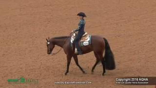 A Judges Perspective: 2016 Select Horsemanship World Champion