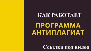 Как работает программа Антиплагиат