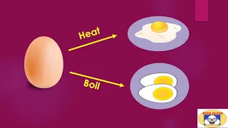 Why Do Eggs Get Hard After Heating or Boiling?| Basic Science| Effect of Temperature| Kids Cloud.