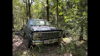 1980 Ford F100 sitting for 20 years! Can it be rescued?