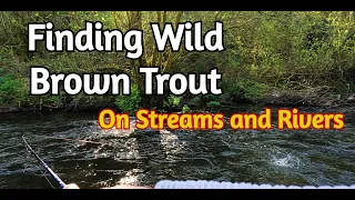 How To Catch Trout in Mountain Streams