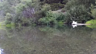 South Fork Eel River - Humboldt Redwoods State Park