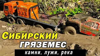 Сибирский гряземес RC трофи. RGT, Degender, Шерп, Камаз