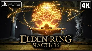ELDEN RING ➤ Прохождение [4K PS5] ─ Часть 36: Золотой Порядок (БОССЫ) ➤ Элден Ринг на Русском