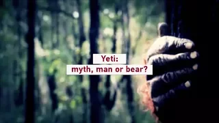 Yeti: myth, man or bear