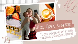 Vlog День зі мною | торти, схуднення, нова рослина, мамська втома | Lichko Cake
