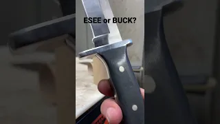 ESEE or BUCK? #shorts #esee #eseeknives #buck  #buckknives