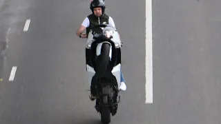 Tmax 530 wheelie