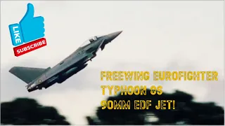 Freewing Eurofighter Typhoon 8S 90mm EDF RC Jet, flight with full ordinance!