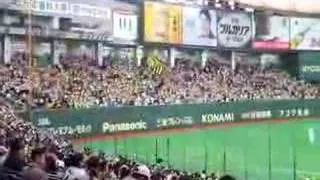 Hanshin Tiger Fans