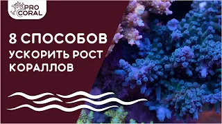 ТОП-8 СПОСОБОВ УЛУЧШИТЬ РОСТ КОРАЛЛОВ! Как получить красивый рифовый аквариум быстрее