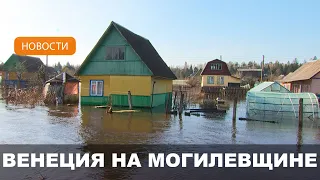 Подтопления талыми и паводковыми водами зафиксированы в 8 районах Могилевской области