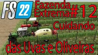 Farming Simulator 22 Fazenda Extrema #12 Cuidando das Uvas e Oliveiras