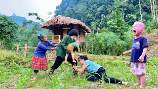 Single mother's life - Harvesting wild vegetables to sell - The bad guys took my child