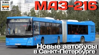 Новые автобусы в Санкт-Петербурге - "МАЗ-216" | New buses in St. Petersburg - "MAZ-216"