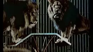 Circus Of Fear (1966) - Color Trailer