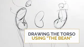 DRAWING THE TORSO: Mini lesson on how to use the bean