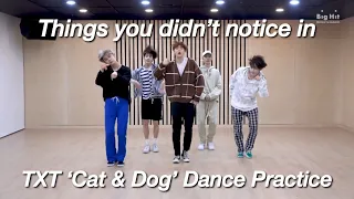 THINGS YOU DIDN’T NOTICE IN TXT ‘CAT & DOG’ DANCE PRACTICE
