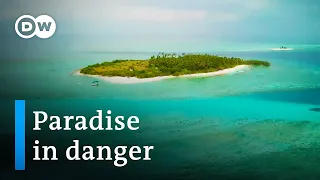 Maldives: Fighting back the tides of trash | DW Documentary