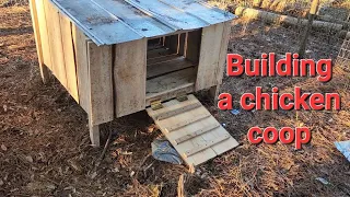 Building a Chicken Coop with Nothing but "Homemade Lumber"!