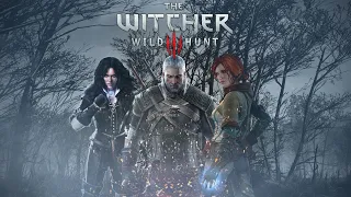 First time playing The Witcher 3 Wild Hunt