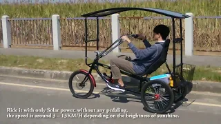 Solar E-Bike (Trike)