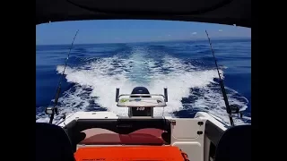 Double hookup - Offshore Gold Coast - Marlin - Dolphin Fish - Mahi Mahi